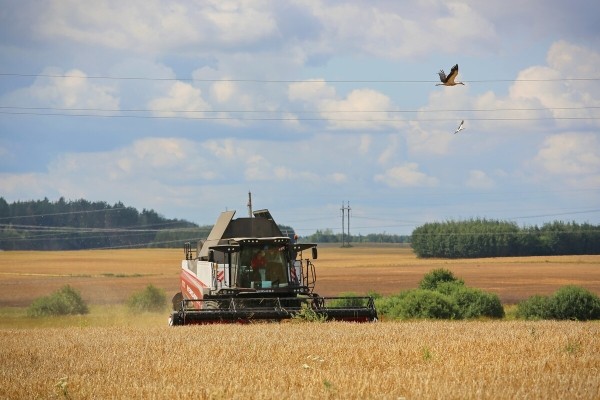 «Вам ни один комбайнёр правды не скажет!» Поговорили с водителем о комбайне за 400 тыс. долларов «Вам ни один комбайнёр правды не скажет!» Поговорили с водителем о комбайне за 400 тыс. долларов