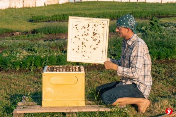 Как парень из Бреста превращает Воложин в цветущий рай Как парень из Бреста превращает Воложин в цветущий рай