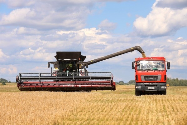 «У комбайнёров выходных нет!» Механизатор о работе на комбайне за 1,8 млн BYN «У комбайнёров выходных нет!» Механизатор о работе на комбайне за 1,8 млн BYN