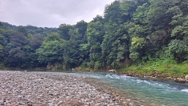«Успели сходить пешком в Турцию». Белорусы рассказали, как съездили в Грузию «Успели сходить пешком в Турцию». Белорусы рассказали, как съездили в Грузию