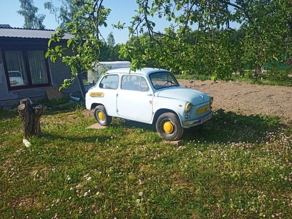 «Излучает положительные эмоции». Белорус показал «горбатый» ЗАЗ-965, который вернули к жизни «Излучает положительные эмоции». Белорус показал «горбатый» ЗАЗ-965, который вернули к жизни