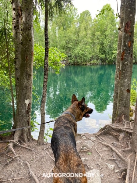 «Это был сюрприз на свадьбу. Путешествие на Териберку». Ребята из Беларуси сделали из VW Transporter «дом на колесах» и проехали за раз 6000 км
