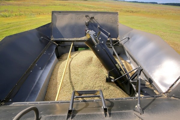 «У комбайнёров выходных нет!» Механизатор о работе на комбайне за 1,8 млн BYN «У комбайнёров выходных нет!» Механизатор о работе на комбайне за 1,8 млн BYN