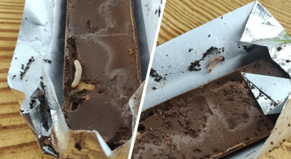 Белорус нашел живых червей в шоколаде «Коммунарка»
Белорус нашел живых червей в шоколаде «Коммунарка»