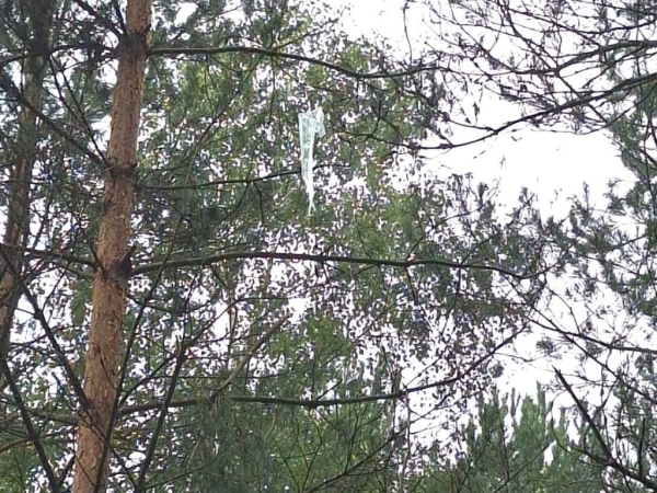 Белорусские сигареты на воздушном шаре пытались незаметно попасть в Литву Белорусские сигареты на воздушном шаре пытались незаметно попасть в Литву