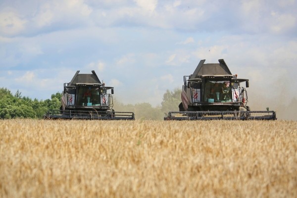 «Вам ни один комбайнёр правды не скажет!» Поговорили с водителем о комбайне за 400 тыс. долларов «Вам ни один комбайнёр правды не скажет!» Поговорили с водителем о комбайне за 400 тыс. долларов
