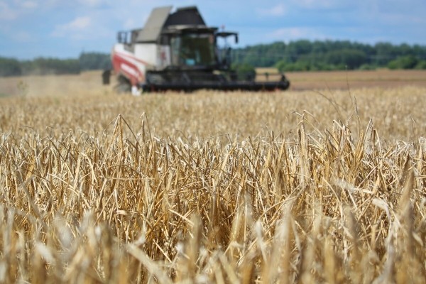 «Вам ни один комбайнёр правды не скажет!» Поговорили с водителем о комбайне за 400 тыс. долларов «Вам ни один комбайнёр правды не скажет!» Поговорили с водителем о комбайне за 400 тыс. долларов