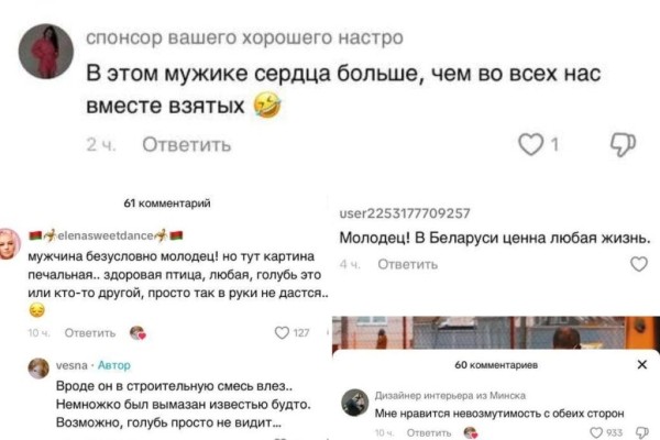 Водитель из Гомеля спас голубя из под колес - посмотрите видео Водитель из Гомеля спас голубя из под колес - посмотрите видео