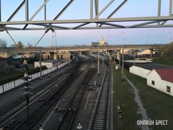 Новая профессия появилась в Беларуси – что надо делать Новая профессия появилась в Беларуси – что надо делать