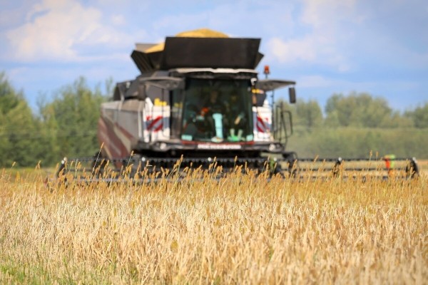 «У комбайнёров выходных нет!» Механизатор о работе на комбайне за 1,8 млн BYN «У комбайнёров выходных нет!» Механизатор о работе на комбайне за 1,8 млн BYN