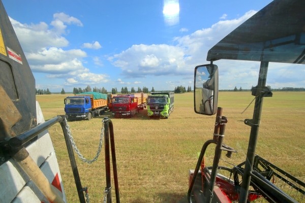 «У комбайнёров выходных нет!» Механизатор о работе на комбайне за 1,8 млн BYN «У комбайнёров выходных нет!» Механизатор о работе на комбайне за 1,8 млн BYN