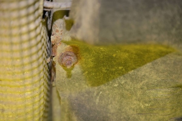 «Купил без осмотра на подъёмнике». Узнали, стоил ли своих денег 22-летний Citroen C5 «Купил без осмотра на подъёмнике». Узнали, стоил ли своих денег 22-летний Citroen C5