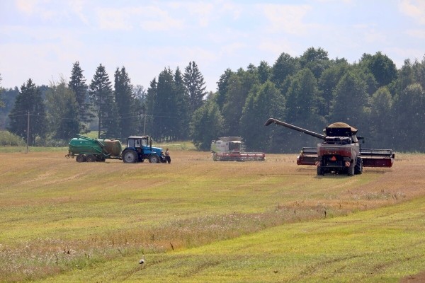 «У комбайнёров выходных нет!» Механизатор о работе на комбайне за 1,8 млн BYN «У комбайнёров выходных нет!» Механизатор о работе на комбайне за 1,8 млн BYN