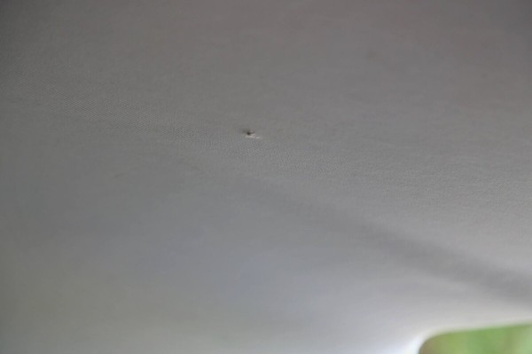 «Покупал через посредника, но с нюансами». Белорус про неудачный опыт пригона Ford Focus из ЕС «Покупал через посредника, но с нюансами». Белорус про неудачный опыт пригона Ford Focus из ЕС