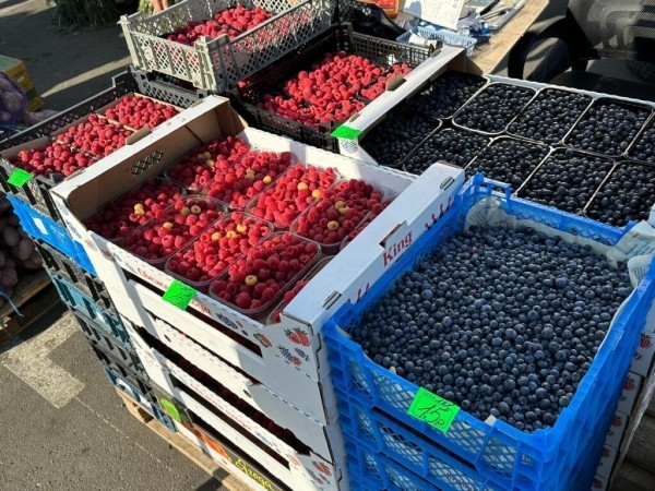 Белорусы собрали продуктовые корзины в Питере и Магадане и сравнили цены Белорусы собрали продуктовые корзины в Питере и Магадане и сравнили цены