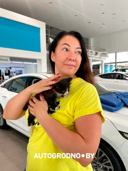 Котенок-путешественник с СТО нашел добрые руки