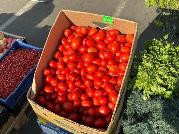 Белорусы собрали продуктовые корзины в Питере и Магадане и сравнили цены Белорусы собрали продуктовые корзины в Питере и Магадане и сравнили цены