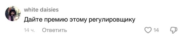 Регулировщик из Беларуси стал звездой интернета Регулировщик из Беларуси стал звездой интернета