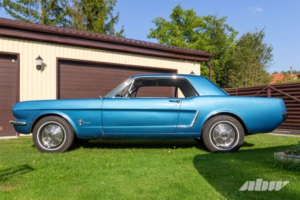 «Сам не знал, какое сокровище нашел». Как 60-летний Mustang 1/2 оказался в Беларуси «Сам не знал, какое сокровище нашел». Как 60-летний Mustang 1/2 оказался в Беларуси