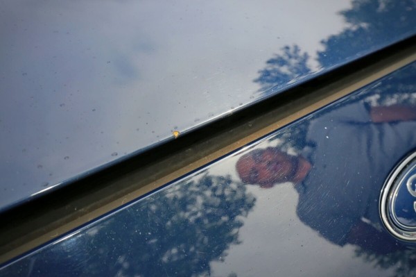 «Покупал через посредника, но с нюансами». Белорус про неудачный опыт пригона Ford Focus из ЕС «Покупал через посредника, но с нюансами». Белорус про неудачный опыт пригона Ford Focus из ЕС