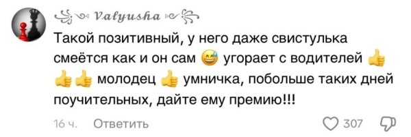 Регулировщик из Беларуси стал звездой интернета Регулировщик из Беларуси стал звездой интернета