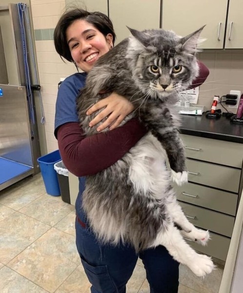 Размер имеет значение? Посмотрите на фото действительно больших животных Размер имеет значение? Посмотрите на фото действительно больших животных