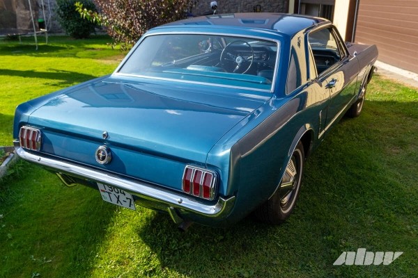 «Сам не знал, какое сокровище нашел». Как 60-летний Mustang 1/2 оказался в Беларуси «Сам не знал, какое сокровище нашел». Как 60-летний Mustang 1/2 оказался в Беларуси