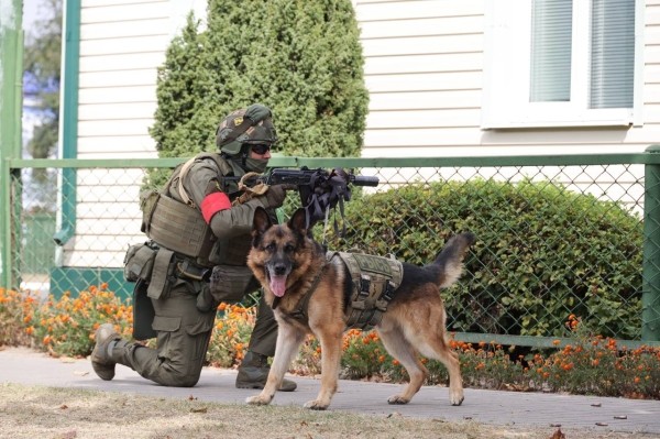 В Столине идут учения. Эффектные кадры В Столине идут учения. Эффектные кадры