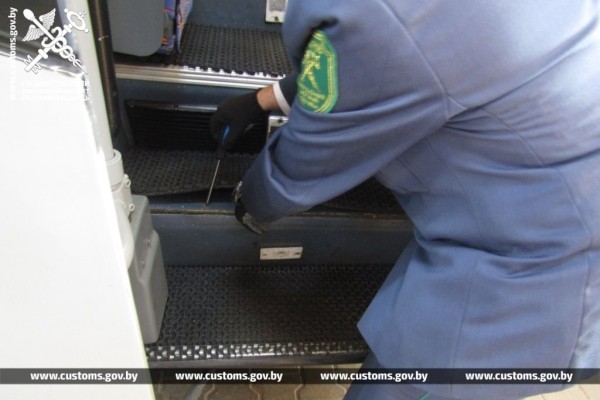 Брестские таможенники обнаружили 19 королевских питонов в рейсовом автобусе из Польши Брестские таможенники обнаружили 19 королевских питонов в рейсовом автобусе из Польши