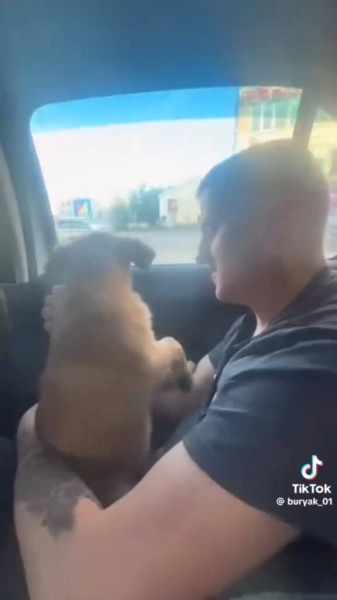 Парень подхватил самый добрый тренд TikTok и приютил дворняжку Парень подхватил самый добрый тренд TikTok и приютил дворняжку