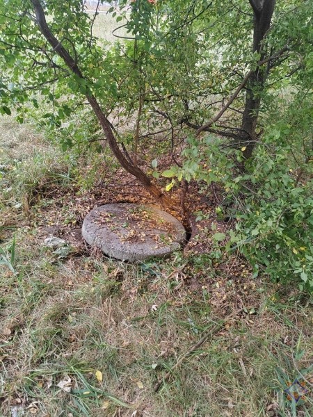 В Бресте спасатели помогли котенку, который упал в коллектор В Бресте спасатели помогли котенку, который упал в коллектор