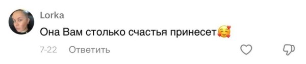 Парень подхватил самый добрый тренд TikTok и приютил дворняжку Парень подхватил самый добрый тренд TikTok и приютил дворняжку