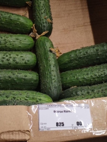 Белорусы собрали продуктовые корзины в Питере и Магадане и сравнили цены Белорусы собрали продуктовые корзины в Питере и Магадане и сравнили цены