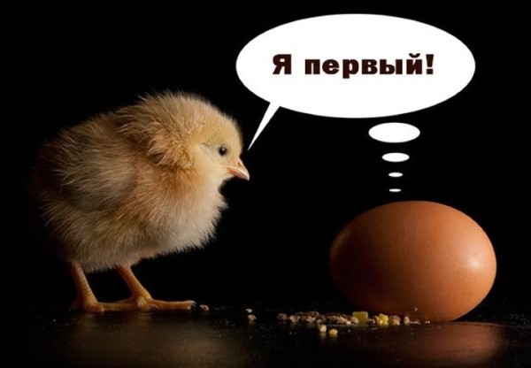 Что было первым: курица или яйцо? Ответ ученых Что было первым: курица или яйцо? Ответ ученых