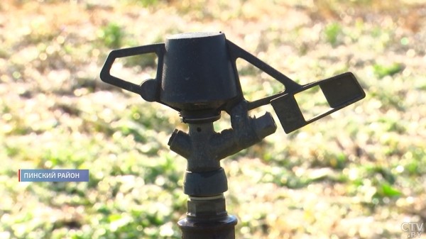 Как в Брестской области собирают красное «золото» — видеорепортаж Как в Брестской области собирают красное «золото» — видеорепортаж