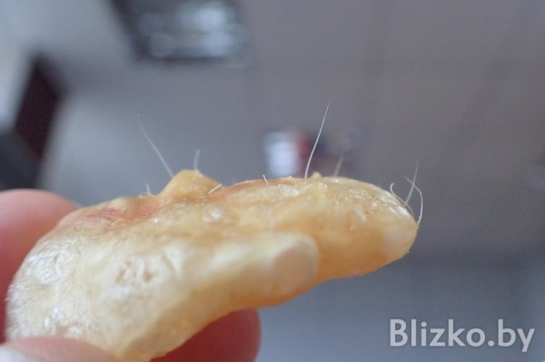 В чипсах нашли свиную шерсть. Фото не для слабонервных В чипсах нашли свиную шерсть. Фото не для слабонервных