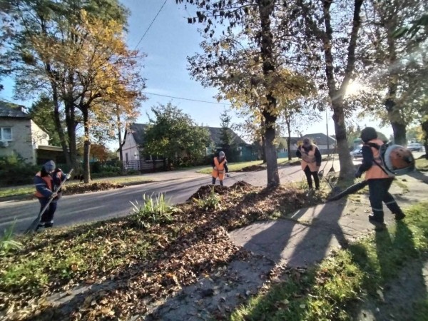 В Бресте полным ходом идёт уборка опавшей листвы и мусора с газонов В Бресте полным ходом идёт уборка опавшей листвы и мусора с газонов