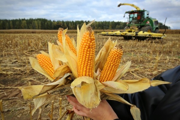«Днёвка» — 168 рублей! Сколько зарабатывает механизатор на кормоуборочном комбайне John Deere «Днёвка» — 168 рублей! Сколько зарабатывает механизатор на кормоуборочном комбайне John Deere