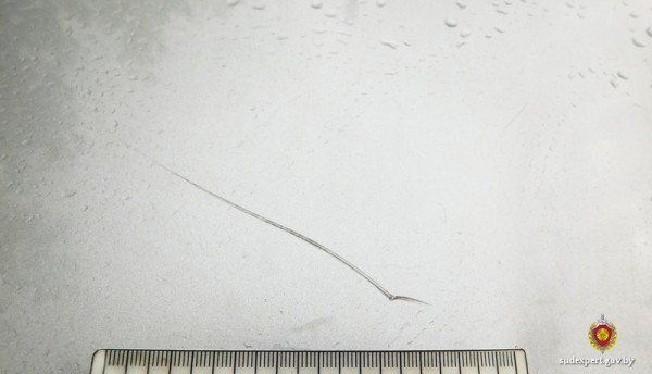 Белорус после конфликта с начальником отыгрался на его автомобиле Белорус после конфликта с начальником отыгрался на его автомобиле