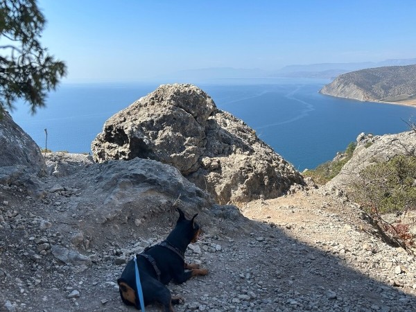 Белорусы рассказали, как дёшево съездили на море на китайском кроссовере Белорусы рассказали, как дёшево съездили на море на китайском кроссовере