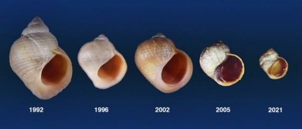 Эволюция в действии: 30-летний эксперимент раскрывает невероятные тайны Эволюция в действии: 30-летний эксперимент раскрывает невероятные тайны