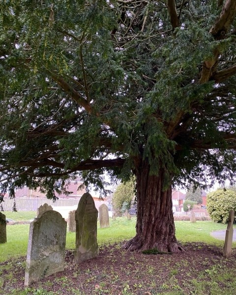 Белорус 10 лет работал водителем в МЧС, а потом стал дальнобойщиком. Вот что он рассказал Белорус 10 лет работал водителем в МЧС, а потом стал дальнобойщиком. Вот что он рассказал