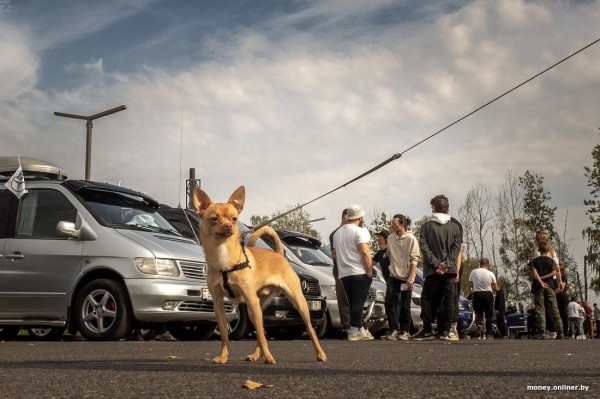 С 2025 года мы будем платить налоги вот так. Объясняем, что изменится С 2025 года мы будем платить налоги вот так. Объясняем, что изменится