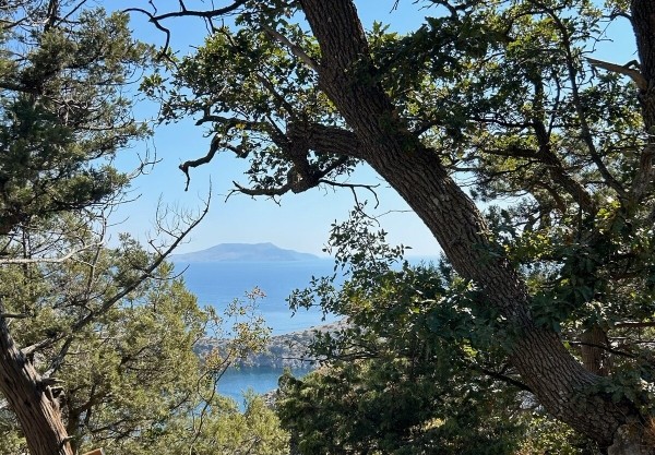 Белорусы рассказали, как дёшево съездили на море на китайском кроссовере Белорусы рассказали, как дёшево съездили на море на китайском кроссовере