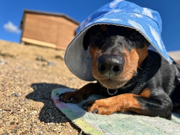Белорусы рассказали, как дёшево съездили на море на китайском кроссовере Белорусы рассказали, как дёшево съездили на море на китайском кроссовере