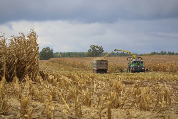 «Днёвка» — 168 рублей! Сколько зарабатывает механизатор на кормоуборочном комбайне John Deere «Днёвка» — 168 рублей! Сколько зарабатывает механизатор на кормоуборочном комбайне John Deere