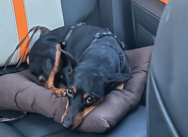 Белорусы рассказали, как дёшево съездили на море на китайском кроссовере Белорусы рассказали, как дёшево съездили на море на китайском кроссовере