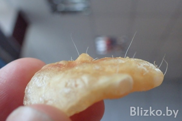 В чипсах нашли свиную шерсть. Фото не для слабонервных В чипсах нашли свиную шерсть. Фото не для слабонервных