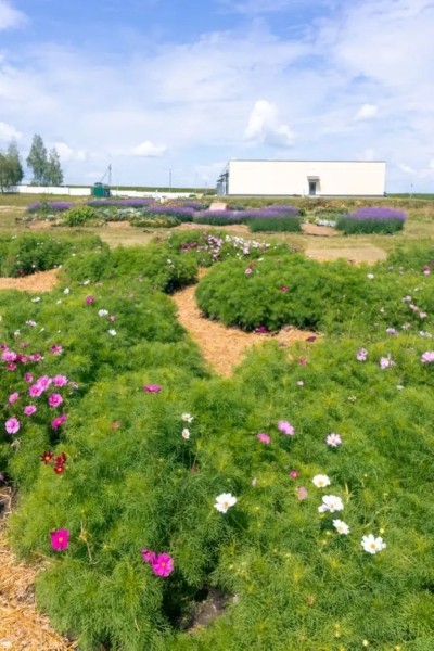 Брестский блогер побывал в гостях у Андрея Малахова Брестский блогер побывал в гостях у Андрея Малахова