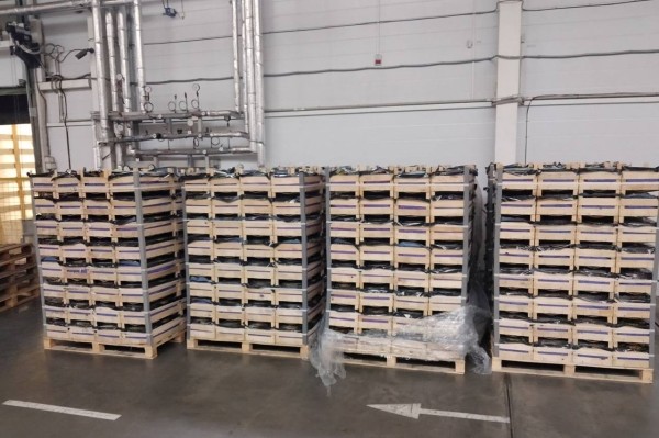 Под коробками с чипсами и водой белорус пытался вывезти 20 тонн груш Под коробками с чипсами и водой белорус пытался вывезти 20 тонн груш